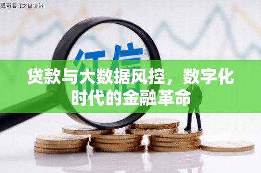 东风贷款与大数据风控，数字化时代的金融革命