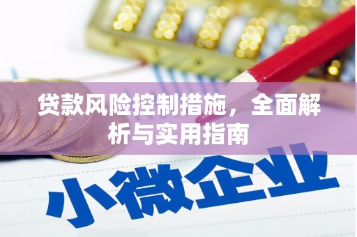 东风贷款风险控制措施，全面解析与实用指南