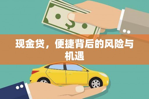东风现金贷，便捷背后的风险与机遇