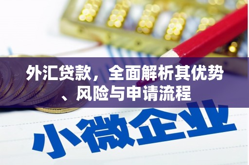 东风外汇贷款，全面解析其优势、风险与申请流程