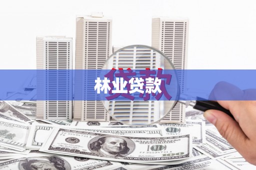 东风林业贷款