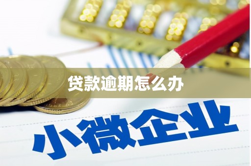 东风贷款逾期怎么办
