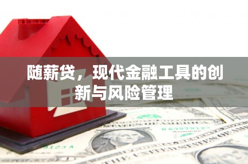 东风随薪贷，现代金融工具的创新与风险管理