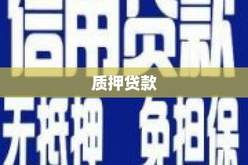 东风质押贷款