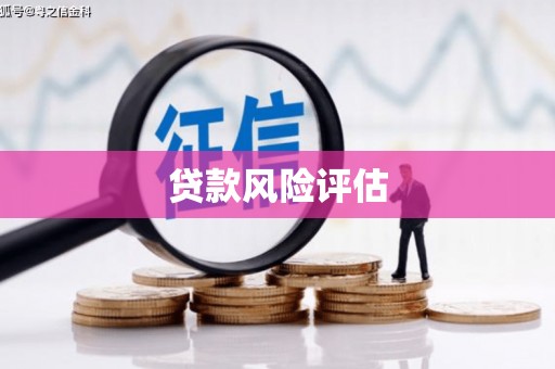 东风贷款风险评估