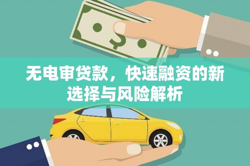 东风无电审贷款，快速融资的新选择与风险解析