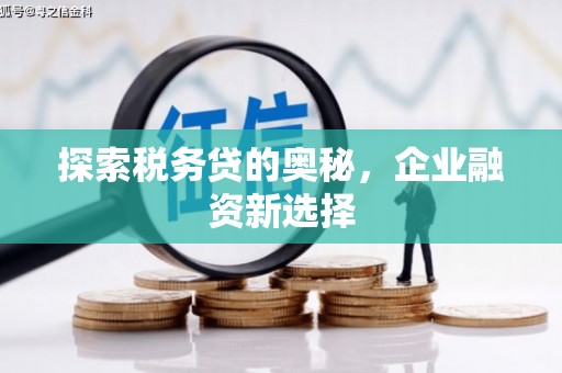 东风探索税务贷的奥秘，企业融资新选择