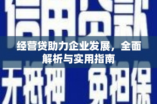 东风经营贷助力企业发展，全面解析与实用指南