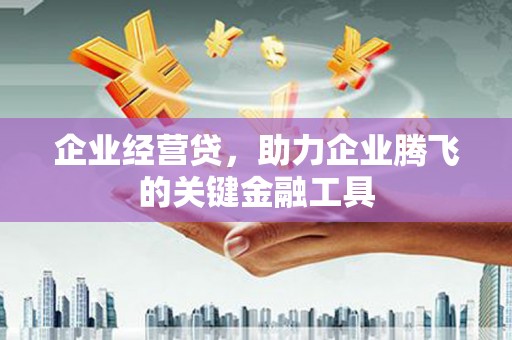 东风企业经营贷，助力企业腾飞的关键金融工具