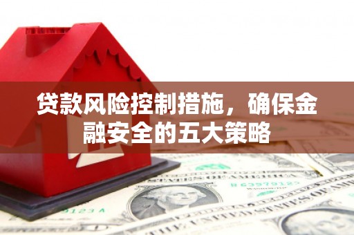 东风贷款风险控制措施，确保金融安全的五大策略