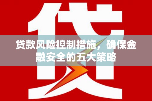 东风贷款风险控制措施，确保金融安全的五大策略