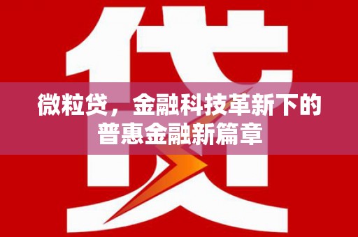东风微粒贷，金融科技革新下的普惠金融新篇章