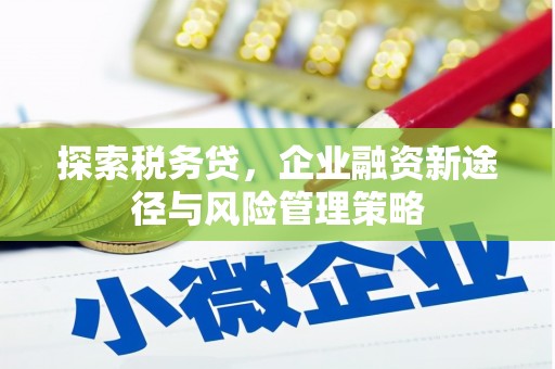 东风探索税务贷，企业融资新途径与风险管理策略