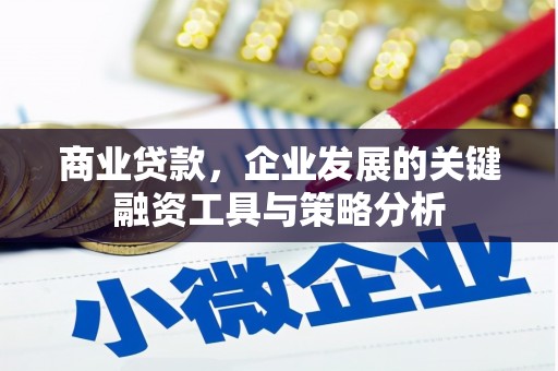 东风商业贷款，企业发展的关键融资工具与策略分析