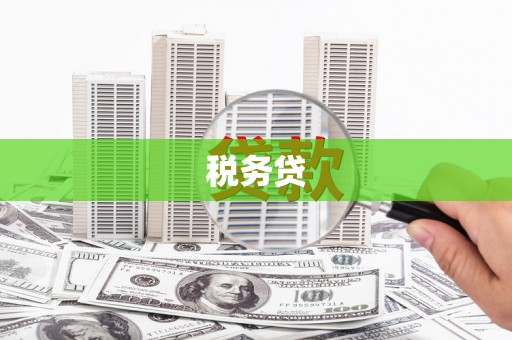 东风税务贷