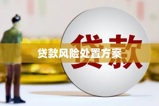 东风贷款风险处置方案