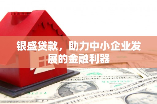 东风银盛贷款，助力中小企业发展的金融利器
