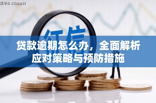 东风贷款逾期怎么办，全面解析应对策略与预防措施