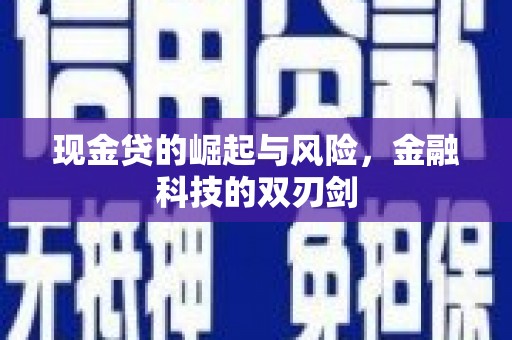 东风现金贷的崛起与风险，金融科技的双刃剑