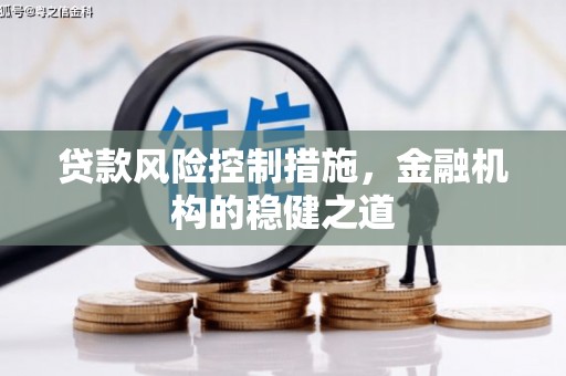 东风贷款风险控制措施，金融机构的稳健之道