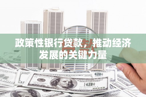 东风政策性银行贷款，推动经济发展的关键力量