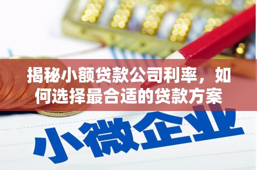 东风揭秘小额贷款公司利率，如何选择最合适的贷款方案
