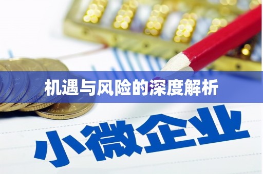 东风机遇与风险的深度解析