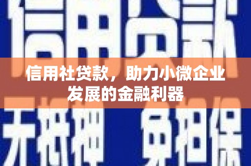 东风信用社贷款，助力小微企业发展的金融利器