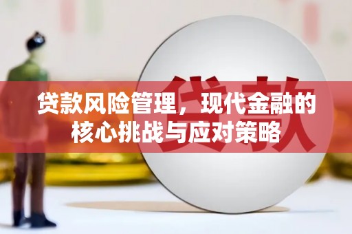 东风贷款风险管理，现代金融的核心挑战与应对策略