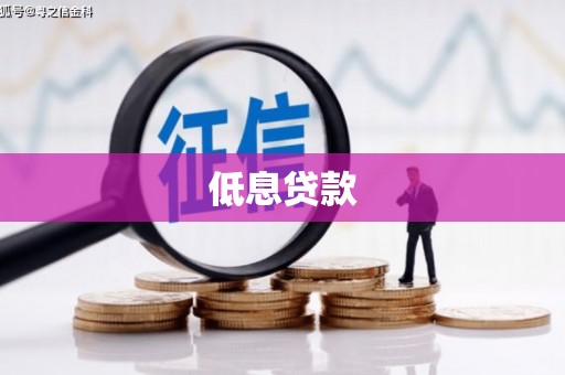 东风低息贷款