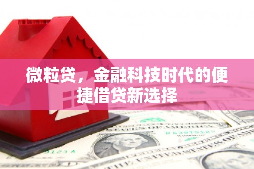 东风微粒贷，金融科技时代的便捷借贷新选择