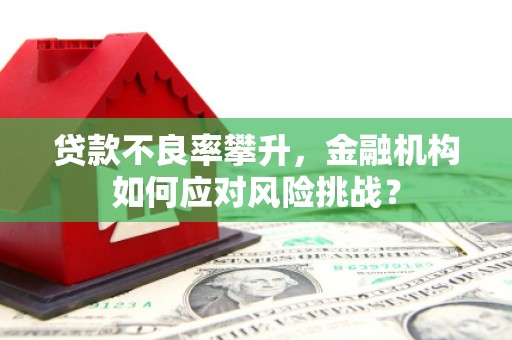 东风贷款不良率攀升，金融机构如何应对风险挑战？