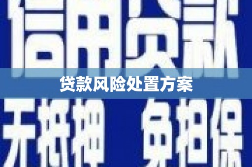东风贷款风险处置方案