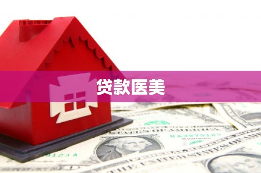 东风贷款医美
