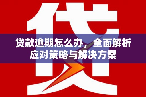 东风贷款逾期怎么办，全面解析应对策略与解决方案