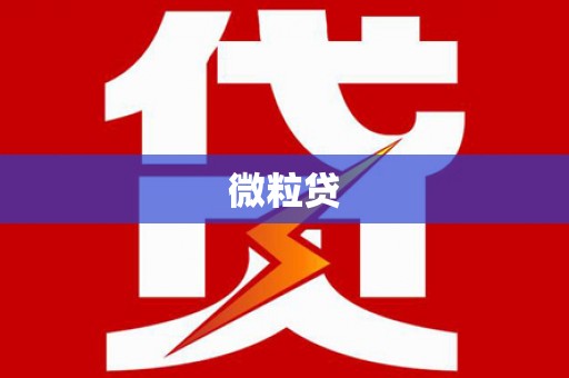 东风微粒贷