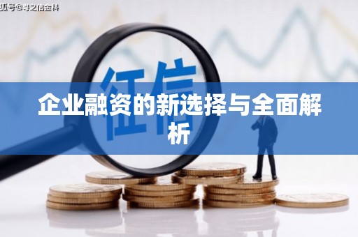 东风企业融资的新选择与全面解析