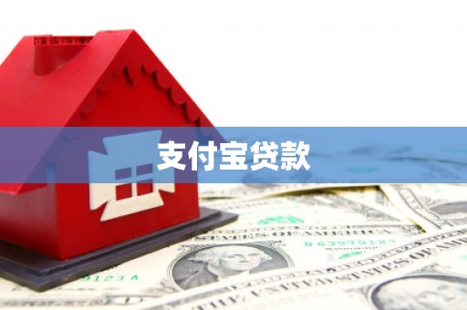 东风支付宝贷款