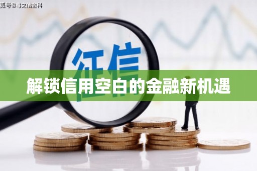 东风解锁信用空白的金融新机遇