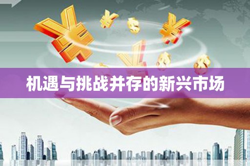东风机遇与挑战并存的新兴市场