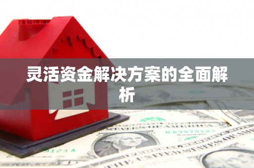 东风灵活资金解决方案的全面解析