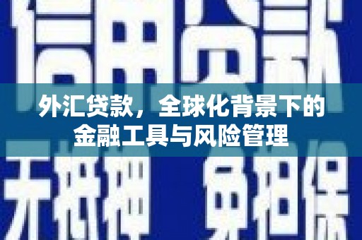 东风外汇贷款，全球化背景下的金融工具与风险管理