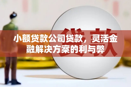 东风小额贷款公司贷款，灵活金融解决方案的利与弊